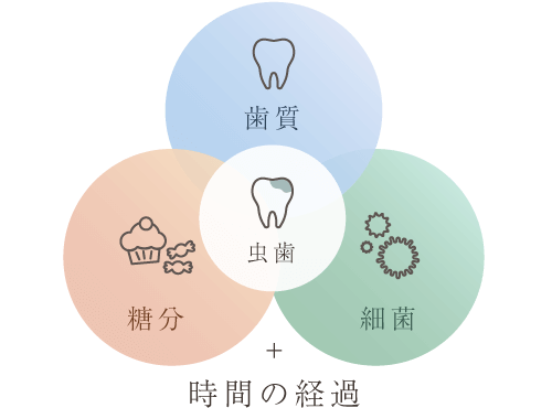 虫歯＝歯質・糖分・細菌＋時間の経過