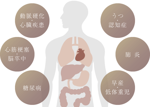 動脈硬化・心臓疾患・心筋梗塞・脳卒中・糖尿病・うつ・認知症・肺炎・早産・低体重児